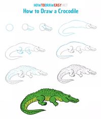 How to Draw a Crocodile - How to Draw Easy