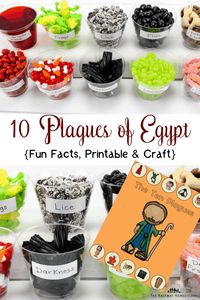 Do you want to teach your children about the 10 plagues of Egypt in a creative way? I have a really unique way to accomplish this by adding in a craft for the kids. Did I mention that while you teach, your kids can eat and learn? #BiblicalFeasts #Plagues #Egypt #PlaguesOfEgypt #BibleStudy #Kids