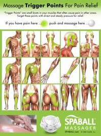 Would you like to know some massage therapist secrets for pain relief? I thought so! Knowing where some common trigger points are can be super-helpful. There are hundreds of trigger points in your body and when these trigger points have direct and steady pressure applied you can find relief in the muscle, as well as in … Continue reading Massage Trigger Points For Pain Relief <span class="meta-nav">→</span>