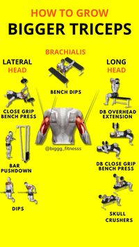 Triceps Workout Plan