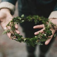 we sat on the forest floor and wove from it these little crowns    . kelly brown photographer .