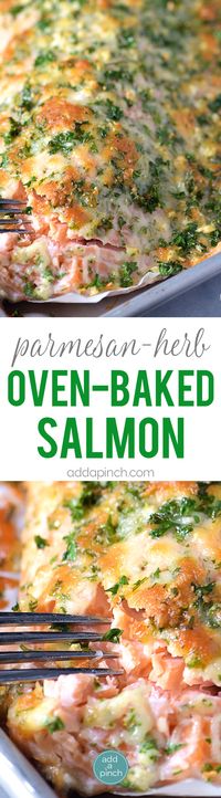 Baked Salmon Recipe - Baked salmon makes a weeknight meal that is easy enough for the busiest of nights while being elegant enough for entertaining. This oven baked salmon with a Parmesan herb crust is out of this world delicious! // addapinch.com