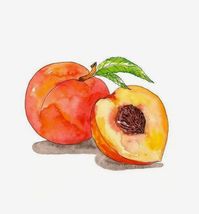 #melocotón #drawing #draw #art #watercolor #acuarela #peaches #color