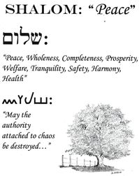 Shalom is translated as "peace" over 200 times in the Hebrew Scriptures, but the Hebrew meaning is much deeper, carrying the idea of peace, completeness, wholeness, prosperity, safety, health, and much more.  These cards include English, Hebrew, and Paleo-Hebrew script and definitions.   These cards are great to share with others for encouragement and/or edification.  These can also be wonderful conversation starters for sharing the Gospel for Kingdom-building purposes. *Note Cards: (4.25" x 5.5"). Available in packs of 10 on white card stock with matching envelopes.  Or, mix with other images to create your own custom packs.   *Greeting Cards: (8.5" x 5.5").  Available in packs of 10 on white card stock with matching envelopes. Or, mix with other images to create your own custom packs. *P