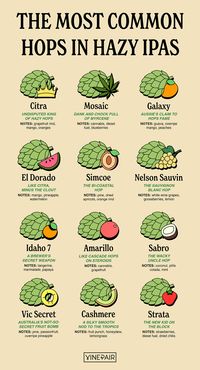 The Most Common Hops in Hazy IPAs [Infographic] | VinePair