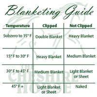 Understanding Horse Blankets – The Cheshire Horse