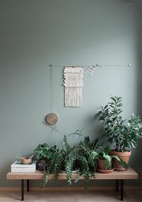 sage green wall color inspiration. / sfgirlbybay