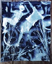 Christopher James Photography | Alternative Process | Cyanotype    Cotton Cyanotype Mural