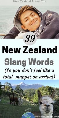 New Zealand travel tips. Learn some New Zealand slang words and you'll be taken for a kiwi by the end of your trip! #newzealand #newzealandtraveltips #slangwords