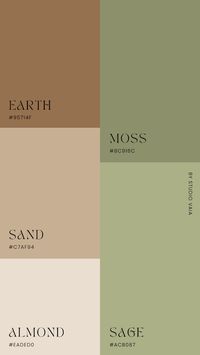 modern and earthy colors