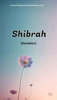 Shibrah is a Girl name with Arabic origin thats popular in Islamic countries and it means Donation