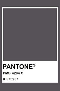 PANTONE 4294 C #pantone #color #PMS #hex