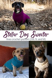 The Stellar Dog Sweater is a fun, free, and quick crochet pattern that is so stylish and warm! Available in size XS, S, and M.