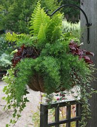 Planter Idea Book, Container Gardens, Pots, Planters, Windowboxes, Hanging Baskets: Gardener's Supply