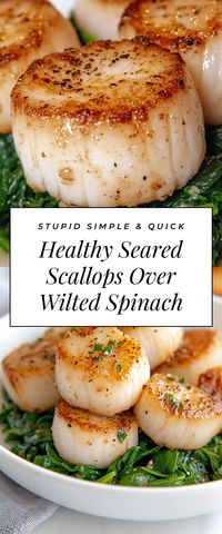 These Flavorful Seared Scallops Over Wilted Spinach are a restaurant-worthy dish you can whip up at home! Impress your guests at your next dinner party with this quick, gourmet recipe that's both elegant and healthy.