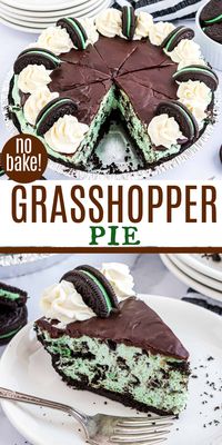 Mint, chocolate and cheesecake come together beautifully in this easy Grasshopper Pie dessert! It's the perfect creamy no bake mint cheesecake and takes just 15 minutes to put together!