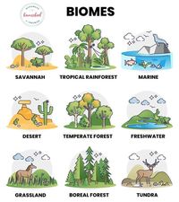 The Earth consists of different types biomes with plant and animal species alike. Learn facts about the various biomes and what lives there.