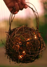 Fairy lanterns