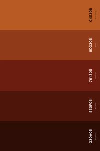 17. Dark Terracotta Color Palette Color Palette with Black Bean (Hex #330A05) + Blood Red (Hex #550F05) + Barn Red (Hex #761305) + Brown (Hex #9D3306) + Burnt Orange (Hex #C45306) Color Palette with Hex Codes