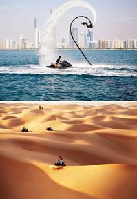 See some unique Abu Dhabi city tour activities.  Thrilling movements . see