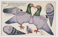 Early Postcard- Novelty Pigeon , Cut Out Card , Nice Card (02/17/2013)