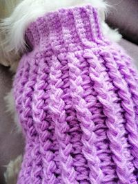 Lilly Winter Puppy Sweater