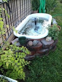 After scouring antique and junk stores we settled for this unique garden pond.  We used a pump system purchased from a local garden center, filled it with water and a few dime store gold fish, and have enjoyed it for many years.  The fish are shared with a local school, where they winter indoors and then return in the summer for an outdoor vacation.