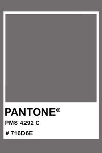 PANTONE 4292 C #pantone #color #PMS #hex