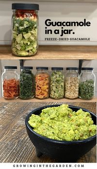 Guacamole in a Jar: Freeze-Dried Guacamole