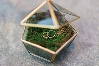 Geometric Gold Ring Glass Box Green Moss | Greenery Botanical Wedding Ideas https://lisadigiglio.com/