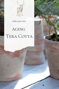 Make your own aged terra cotta pots