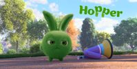 Sunny Bunnies - Hopper