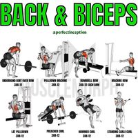 Back Workout For Bodybuilding | Gym Workout For Dumbbells.  HS:- #fitness #gym #workout #fitnessmotivation #fit #motivation #bodybuilding #training #health #fitfam #healthylifestyle #lifestyle #love