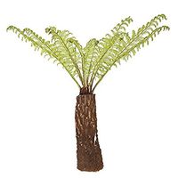 Tree Fern Log: Amazon.co.uk: Garden & Outdoors