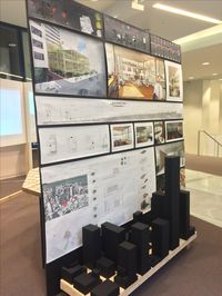 Pin up board examples. University of Cincinnati, College of DAAP, Architecture posters and presentation