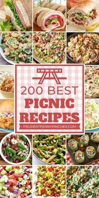 200 Best Picnic Recipes #recipes #lunch #dinner #summer