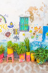 Asilah Morocco is a funky, artsy seaside town in Morocco. Here's a photo tour of the medina and guide to the most beautiful, Instagram worthy spots. #asilah #morocco #travel #guide #instagram #medina #beach