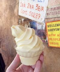 Celebrate National Dole Whip Day with a swirl of tropical delight! 🍦🍍Whether you’re at Disney Parks or craving a sweet escape at home, this pineapple treat is the perfect way to cool off and indulge. #dolewhipe #nationaldolewhipday #disney #disneyparks #travelagent #vacation