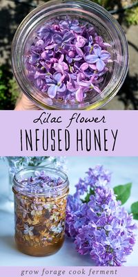 This lilac infused honey is easy to make and a delicious way to preserve the beautiful taste of these edible spring flowers!