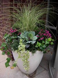 Fall Container Design - Hardy ingredients with a cool toned container