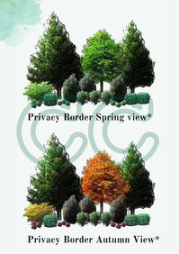 Northwest Native Privacy Border & Food Forest Landscape Design/garden Plan - Etsy Canada