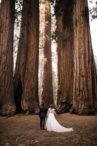 Sequoia National Park Elopement Photographer