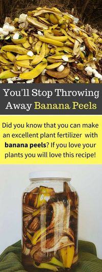 Banana Peel as a Fertilizer