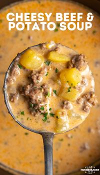 Cheesy Beef and Potato Soup is a hearty, creamy soup made with ground beef, diced potatoes, and melted cheddar cheese. Then, it is garnished with parsley and more cheese! I love a bowl of it when I am craving something warm and satisfying.