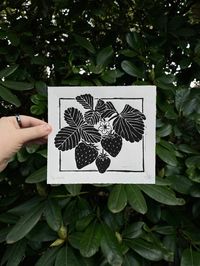 "- 6.75\"x7.5\" - Printed with water-soluble non-toxic ink on 120 gsm acid-free printmaking paper in natural white - Signed and editioned by the artist - Shipped on chipboard in a plastic sleeve for protection - Recommended frame: 8\" x 10\" Each print is handmade and unique, so there may be slight variation in ink density, paper edges, and other aspects of the print. If you'd like to choose your print specifically, please message me and I'd be happy to show you the prints I have. These handmade