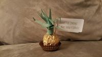 Baby Shower Favor/Souvenir/Giveaway - Pineapple using Ferrero Rocher