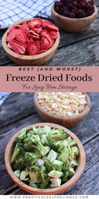 Best (and Worst) Freeze Dried Food for Long Term Storage