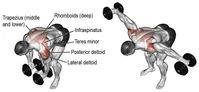 Dumbbell bent over lateral raise Nasıl yapılır? | Sporium.Net