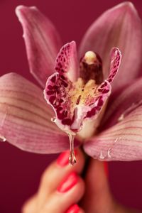 Free Photo | Interpretation of female reproductive system with flower