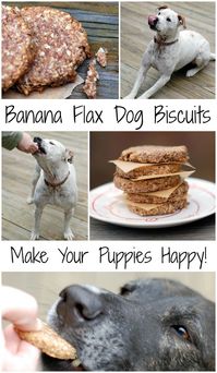 Easy to make and healthy dog cookies made with banana, flax, whole wheat and coconut oil.